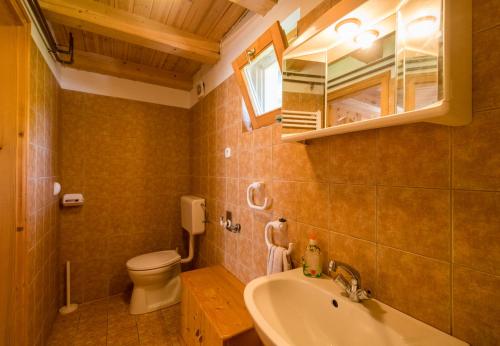 維謝格拉德的住宿－Ancsa Vendégház，一间带水槽、卫生间和镜子的浴室
