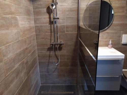 a shower with a glass door in a bathroom at Geneve chene-bougeries in Geneva