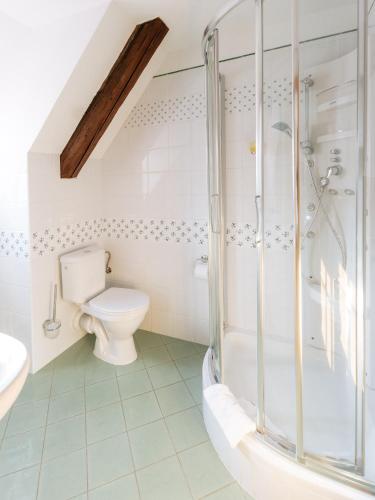 a bathroom with a shower and a toilet at Boutique Hotel Romantick in Český Krumlov