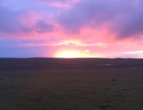 a sunset in a field with the sun setting at The Anchorage B and B in John O Groats