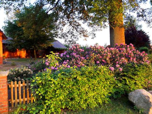 a garden of flowers in front of a tree at Ferienwohnung Rehblick in Langwedel