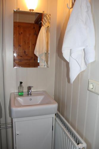 uma casa de banho com um lavatório branco e um espelho. em Hrísmóar em Reykholt