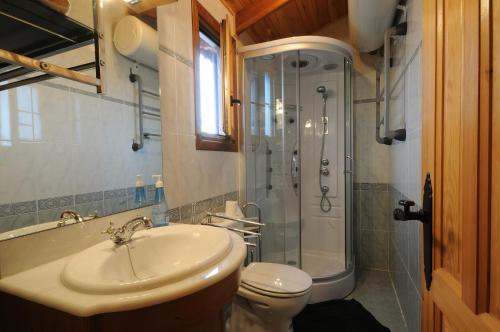 a bathroom with a shower and a sink and a toilet at El Mirador De La Moraña in Hernansancho