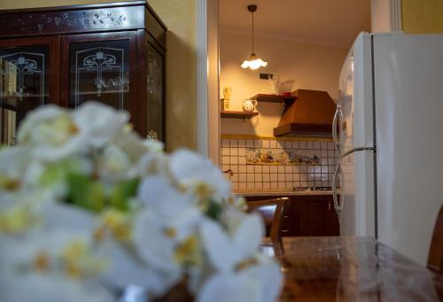 Η κουζίνα ή μικρή κουζίνα στο Solimena House