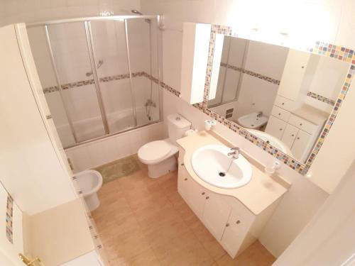 une salle de bain avec un lavabo, des toilettes et un miroir dans l'établissement Apartamento Grande-Centro Barrio Playa, à Alicante