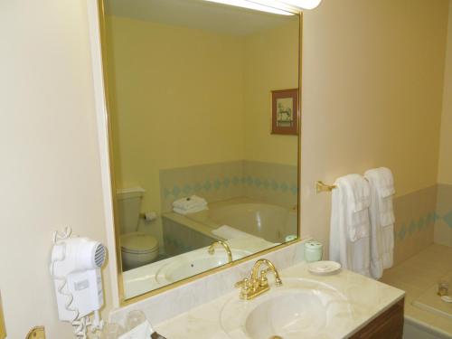 La salle de bains est pourvue d'une baignoire, d'un lavabo et d'un miroir. dans l'établissement Bridges Guest Quarters, à Abbottstown