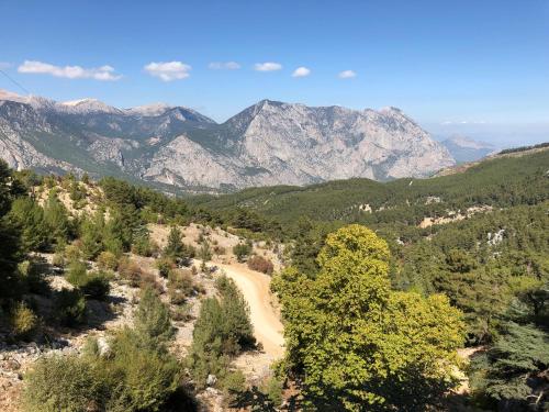 a dirt road with mountains in the background at yenivadi in Antalya