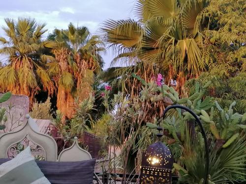 a garden area with palm trees and palm trees at Riad Swaka in Marrakesh