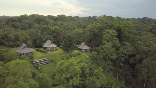 an overhead view of three huts in a forest at Nathylodge in Bocas del Toro