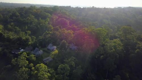 an aerial view of a house in the middle of a forest at Nathylodge in Bocas del Toro