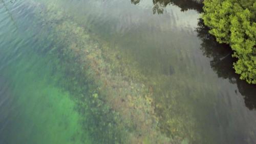 an aerial view of a body of water with trees at Nathylodge in Bocas del Toro
