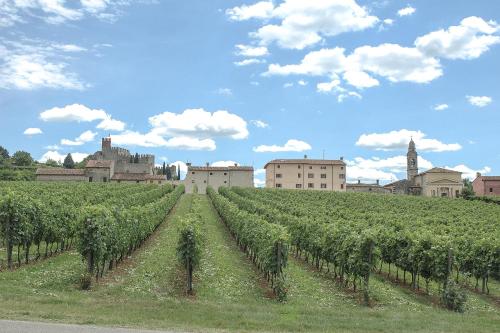 a field of vines with a castle in the background at B&B Antique Maison in Soave