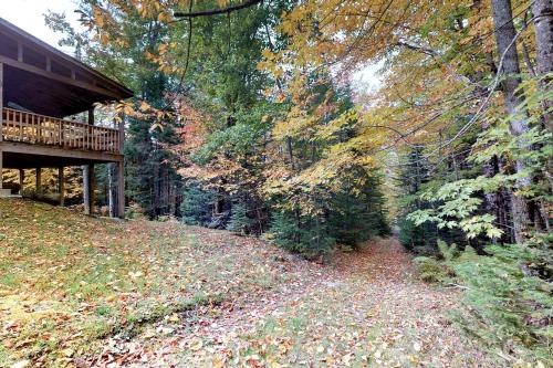 a path in the woods with leaves on the ground at Lily's Pad in Greenville