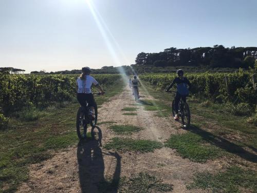 three people riding bikes on a dirt road in a vineyard at Villa Cavalletti in Grottaferrata