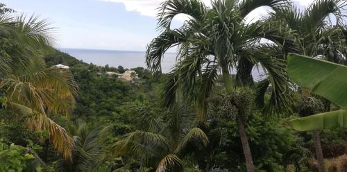 a view from the jungle of palm trees and the ocean at GITE REVE CARAIBES LE PETIT HAVRE in Bouillante