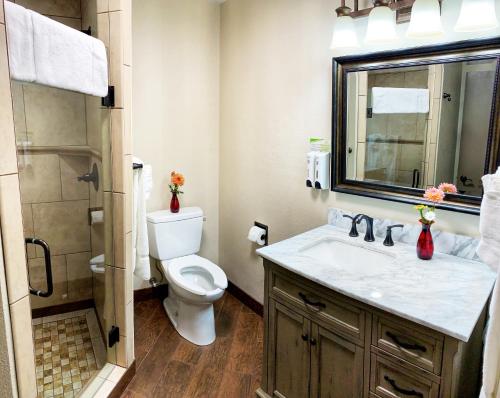 a bathroom with a toilet and a sink and a mirror at Stratford Inn in Ashland