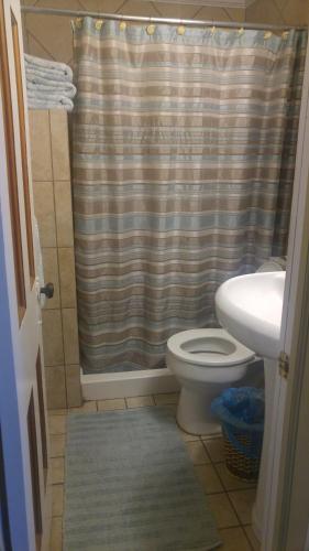 y baño con cortina de ducha y aseo. en Aunt Jane's Guest House, en Put-in-Bay