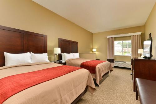 Gallery image of Comfort Inn and Suites Manheim in Manheim