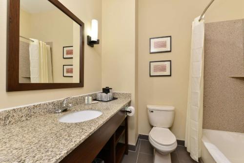 a bathroom with a sink and a toilet and a mirror at Comfort Inn & Suites Manheim - Lebanon in Manheim