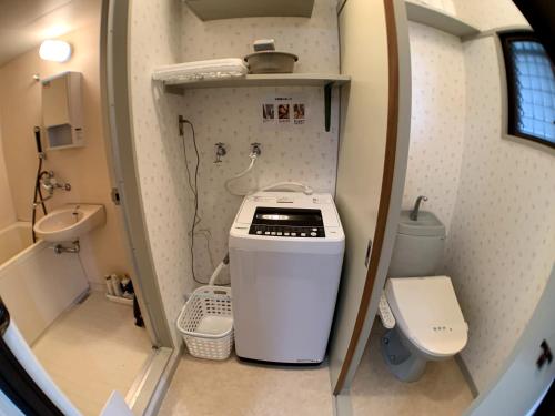 青森市にあるBig Stone Tsukuda 41平米 2Fの洗面台とトイレ付きの小さなバスルーム