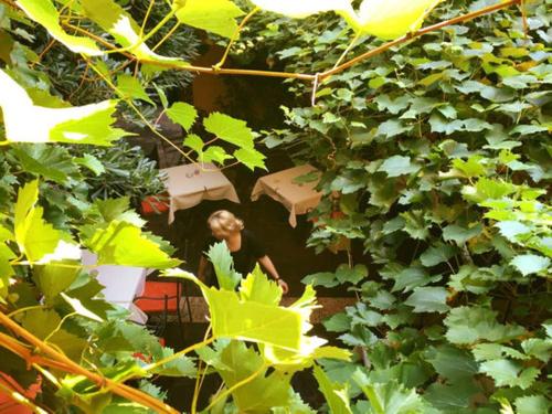 a woman walking through a garden with green leaves at Hotel Dolomiti in Malcesine