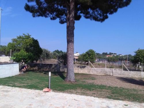 Casa San Marco – Photos 3