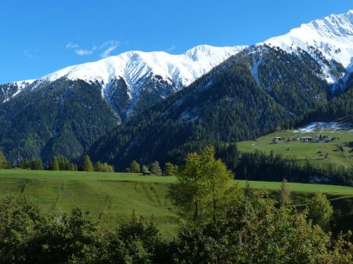 a green field with snow capped mountains in the background at Boutique-Hotel Garni Bellevue Davos Wiesen in Wiesen