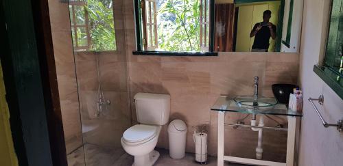 a bathroom with a toilet and a sink and a mirror at Silver Hill Select in Spa Spring