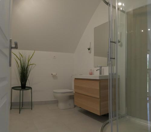 La salle de bains est pourvue de toilettes, d'un lavabo et d'une douche. dans l'établissement Le Petit Gite O Pré, à Beaubec-la-Rosière