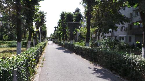 a tree lined path in a park with a building at Robert 's apartament in Ploieşti