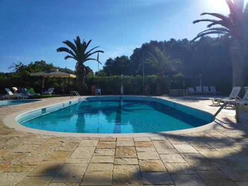 a large swimming pool in a yard with palm trees at Valentino Corfu in Ýpsos