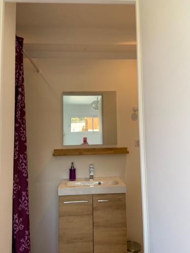 a bathroom with a sink and a mirror at Chambre privée avec terrasse in Capbreton