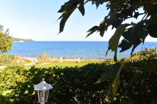 CANELLA 5 – Photos 3