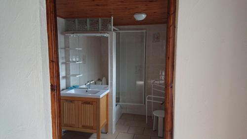uma casa de banho com um chuveiro, um lavatório e um WC. em domaine d'en Haut em Lochy