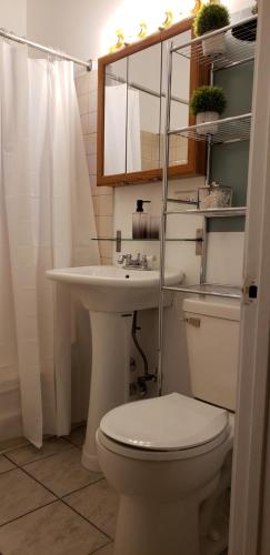 een badkamer met een wastafel, een toilet en een spiegel bij My Cozy Heavon in Chicago