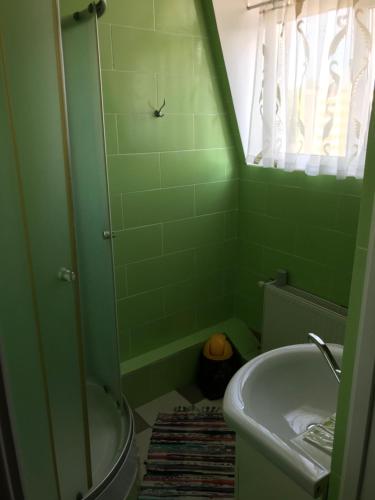 a green bathroom with a shower and a sink at Отель Буржуа in Zhytomyr