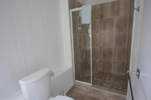 y baño con ducha, aseo y ducha. en The Lily House, en Hermanus