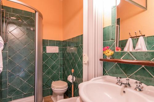 a bathroom with a sink and a toilet and a shower at Agriturismo Etrusco in Murlo