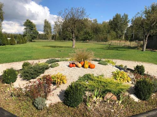 Gallery image of Wypoczynek na wsi Pod Akacją in Oksa