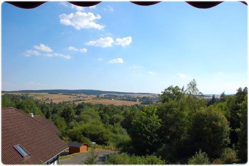 an overhead view of a village with trees and a blue sky at Ferienhaus Naturblick am Tor zum Nationalpark Kellerwald in Frankenau