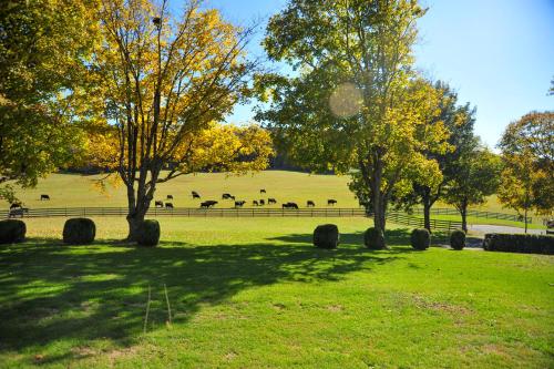 Fotografie z fotogalerie ubytování Hunter Ridge Estate v destinaci Mint Spring
