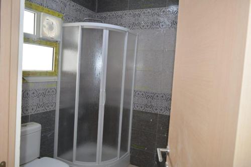 a bathroom with a shower and a toilet in it at Ramco For Furnished Apartments And Accommodation Compound Leila in Cairo
