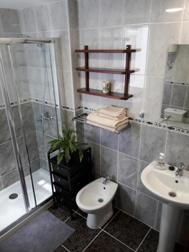 a bathroom with a shower and a toilet and a sink at Sol Bolero in Tazacorte