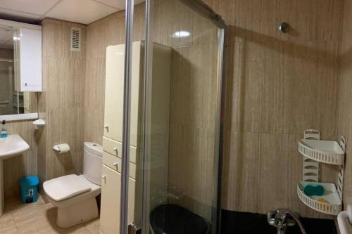 La salle de bains est pourvue d'une douche, de toilettes et d'un lavabo. dans l'établissement Apartamentos San Miguel 2, à Almerimar