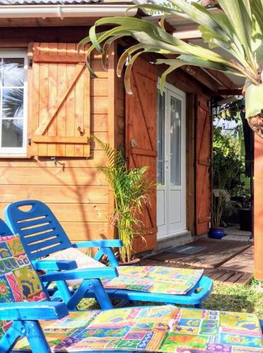 Сад в Chalet BIENVENUE NOUT KAZ