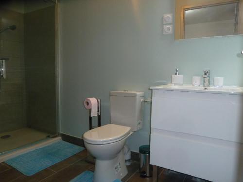 a bathroom with a toilet and a sink and a shower at Maison Elizondoa - chambres, restaurant et SPA in Masparraute