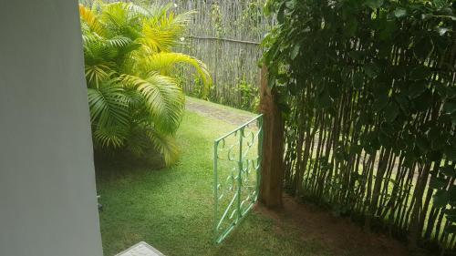 Kasa Karapató – Photos 3