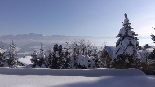 a snow covered christmas tree on top of a mountain at Panorama in Sulzberg