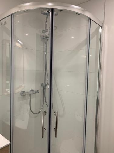 une douche avec une porte vitrée dans une salle de bain dans l'établissement ANNEXE du LAC, au Bourget-du-Lac