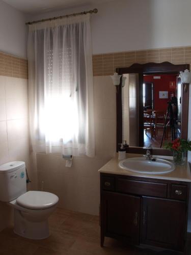 a bathroom with a toilet and a sink and a mirror at Casas Rurales Manolo in Casas del Monte